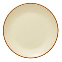 DT Urmi Buffet Plate
